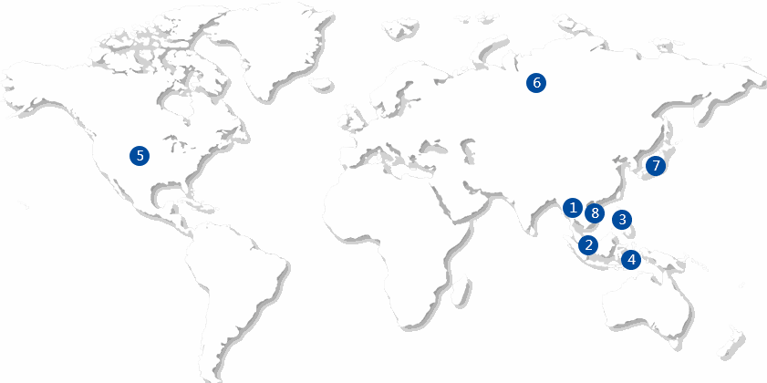 越洋通达全球服务网络地图 - 覆盖东南亚、美国、欧洲、日本等8条国际专线